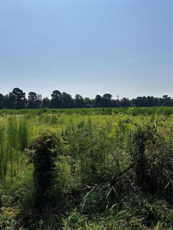 001 Fm-144 Daingerfield TX 75638