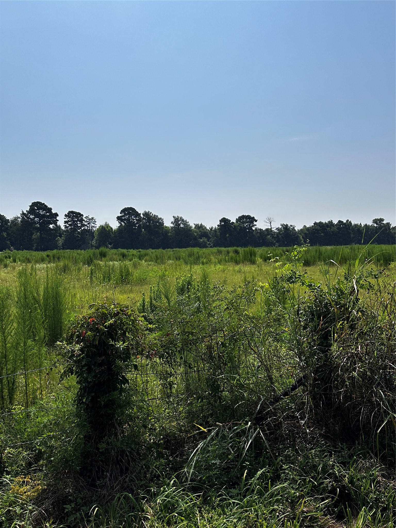 001 Fm-144 Daingerfield TX 75638