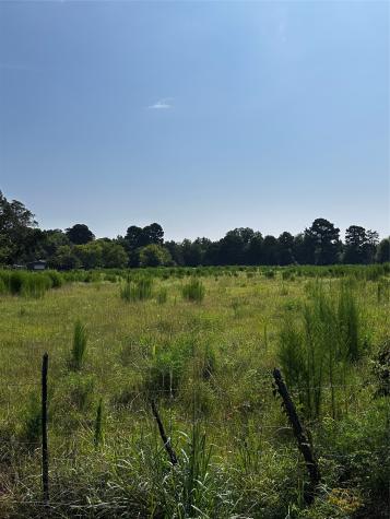 001 Fm-144 Daingerfield TX 75638