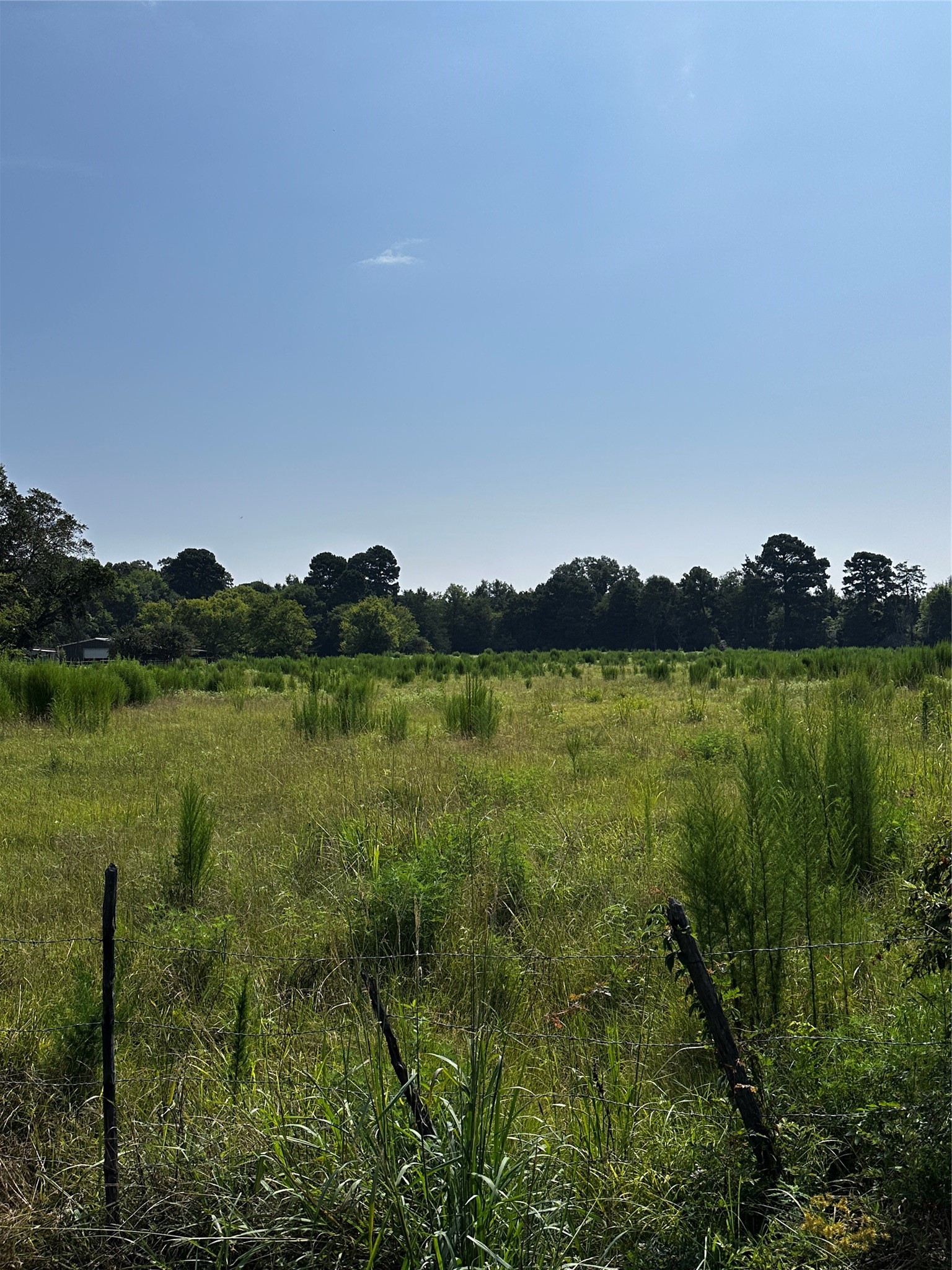 001 Fm-144 Daingerfield TX 75638
