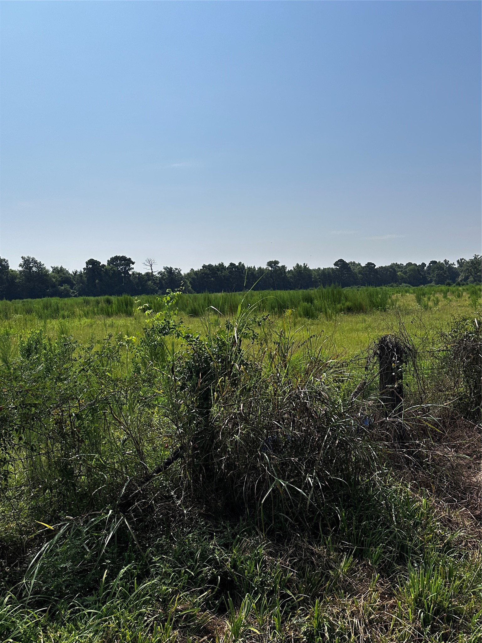 001 Fm-144 Daingerfield TX 75638