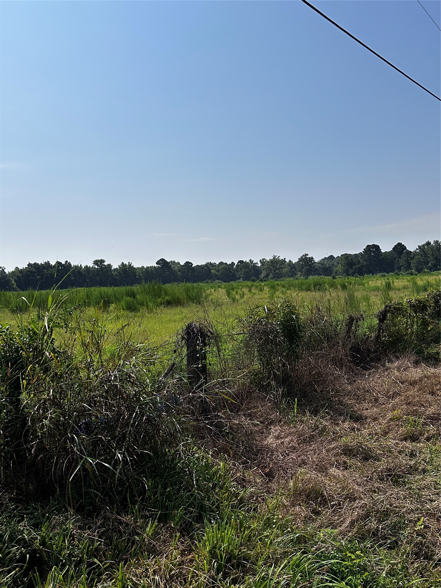 001 Fm-144 Daingerfield TX 75638