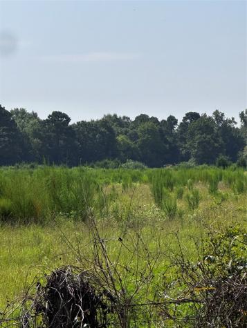 001 Fm-144 Daingerfield TX 75638