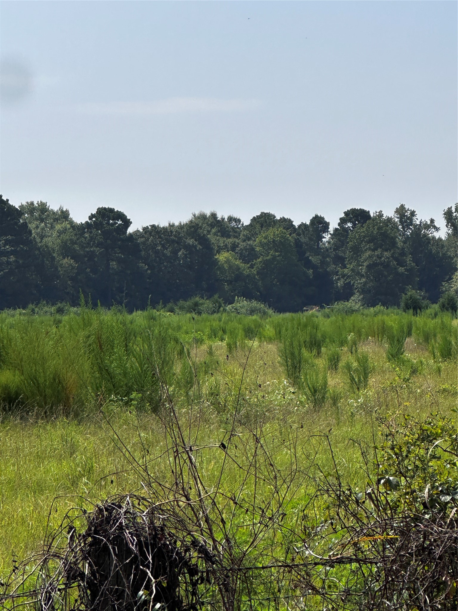 001 Fm-144 Daingerfield TX 75638