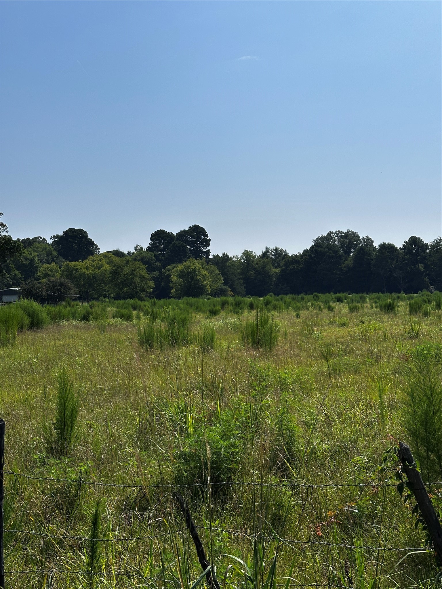 001 Fm-144 Daingerfield TX 75638