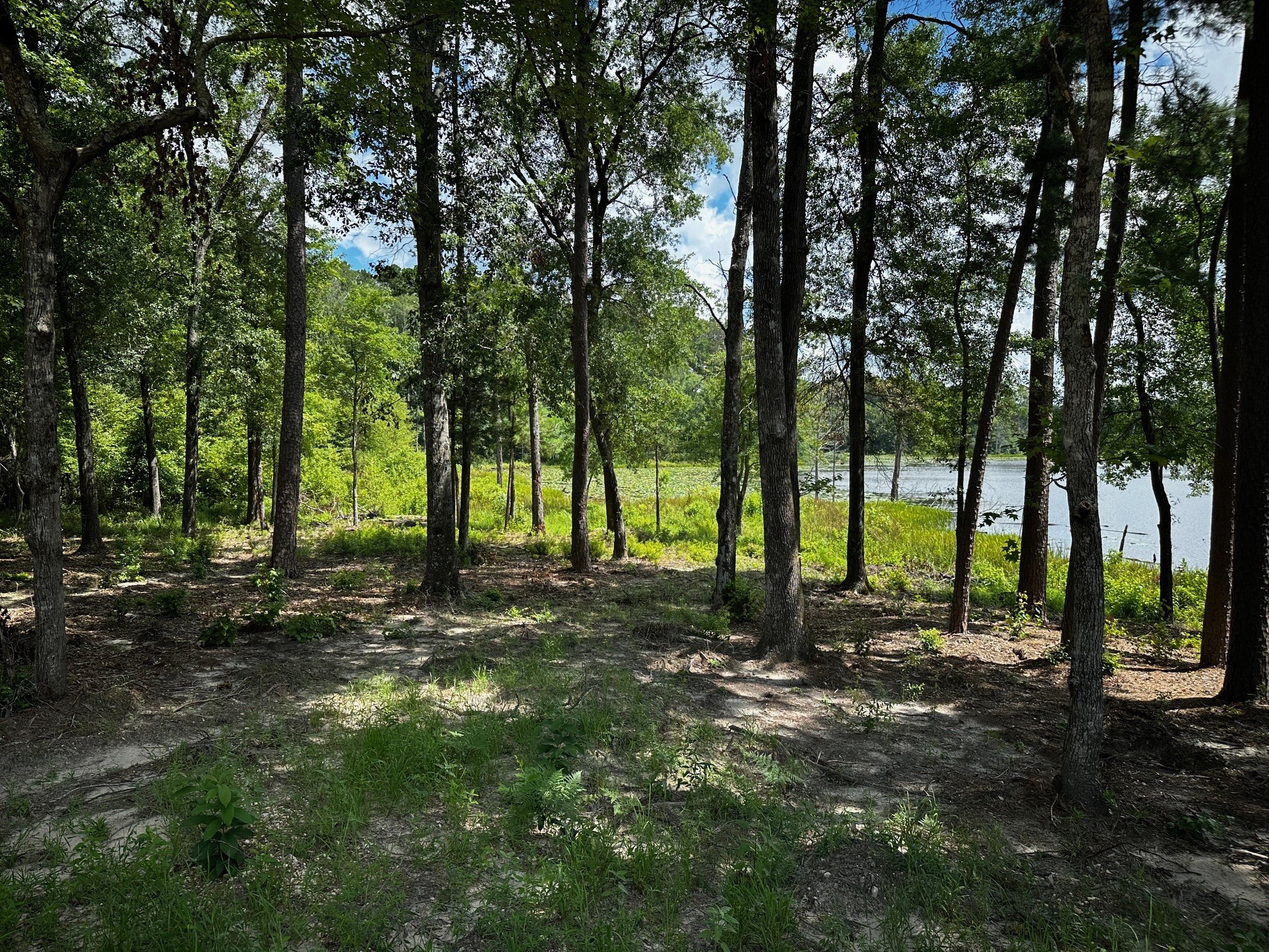Tbd An County Road 314 Frankston TX 75763