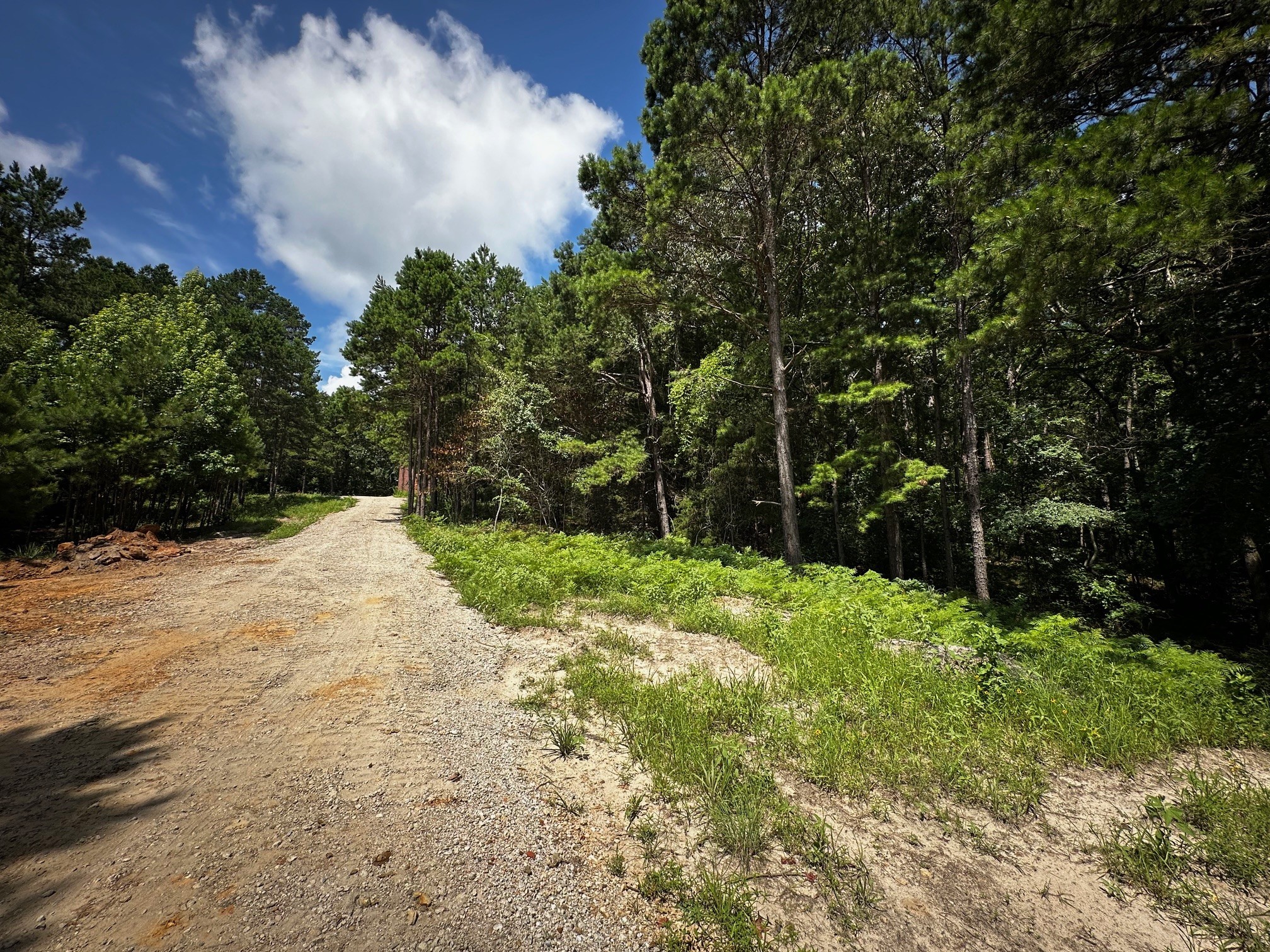 Tbd An County Road 314 Frankston TX 75763