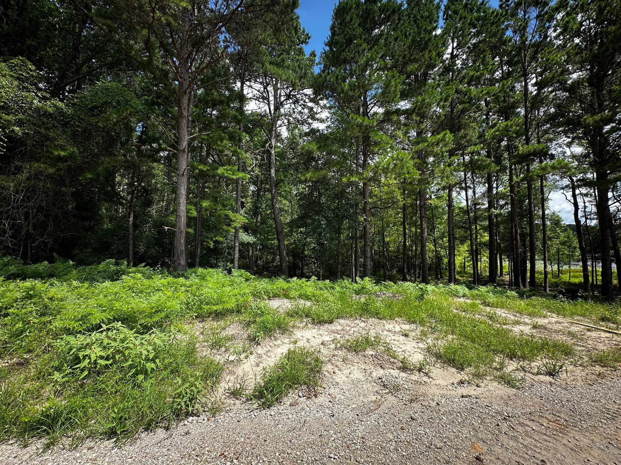 Tbd An County Road 314 Frankston TX 75763