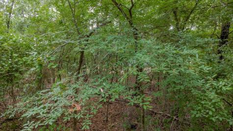 1714 Pineview Lane Hideaway TX 75771