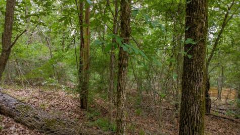 1714 Pineview Lane Hideaway TX 75771