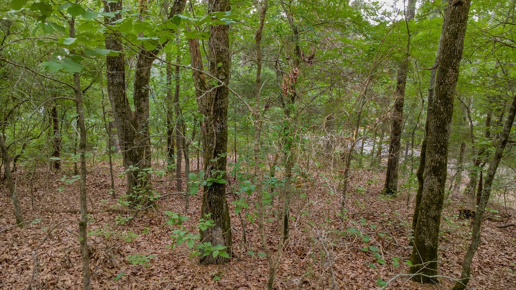 1714 Pineview Lane Hideaway TX 75771