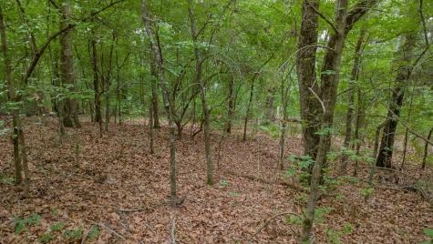 1714 Pineview Lane Hideaway TX 75771