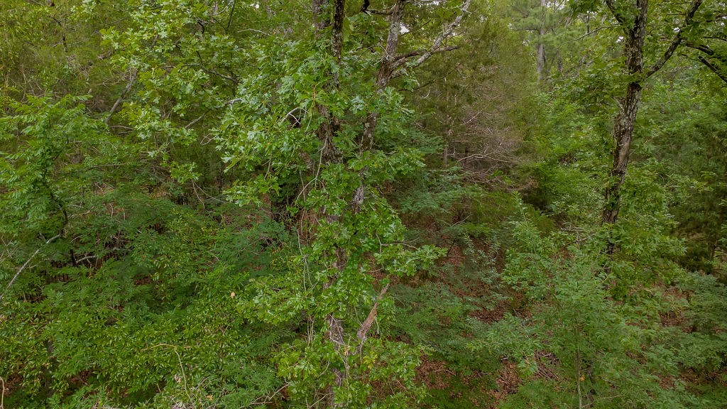 1714 Pineview Lane Hideaway TX 75771