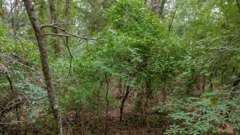 1714 Pineview Lane Hideaway TX 75771
