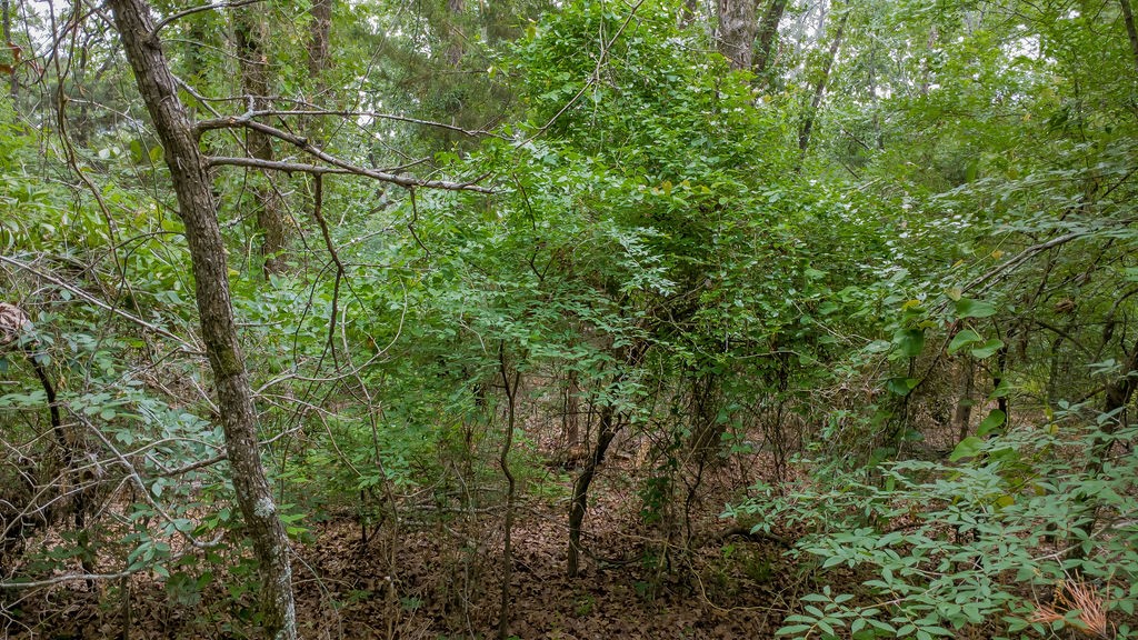 1714 Pineview Lane Hideaway TX 75771