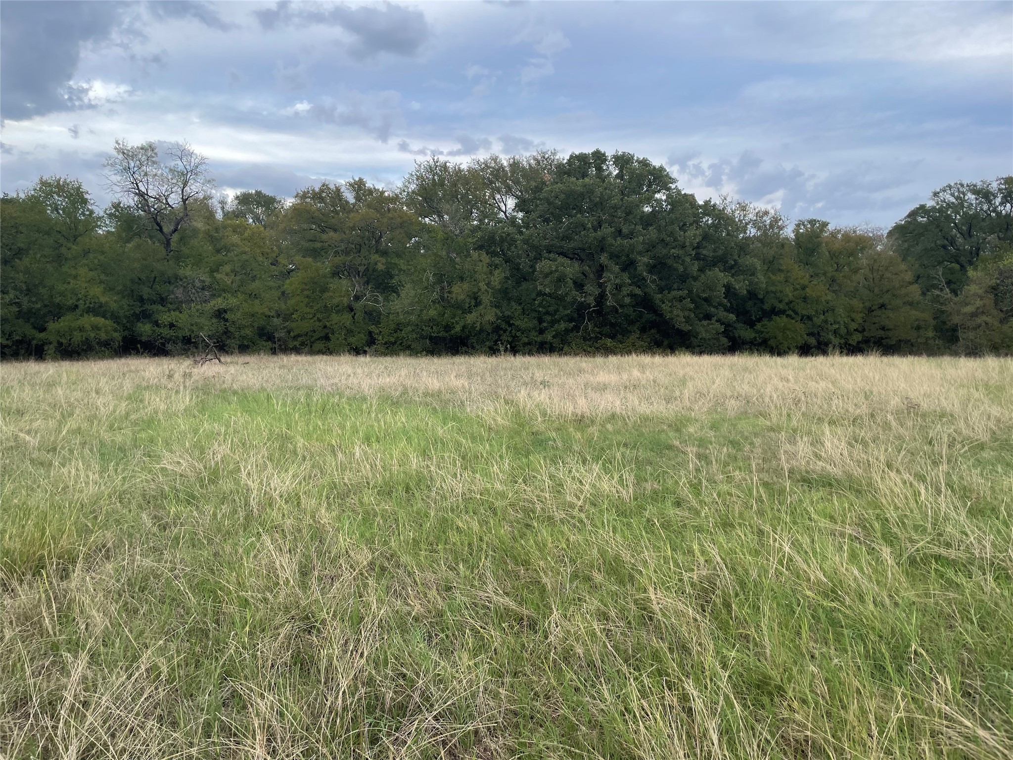 Tbd Beardn Lane Mingus TX 76453