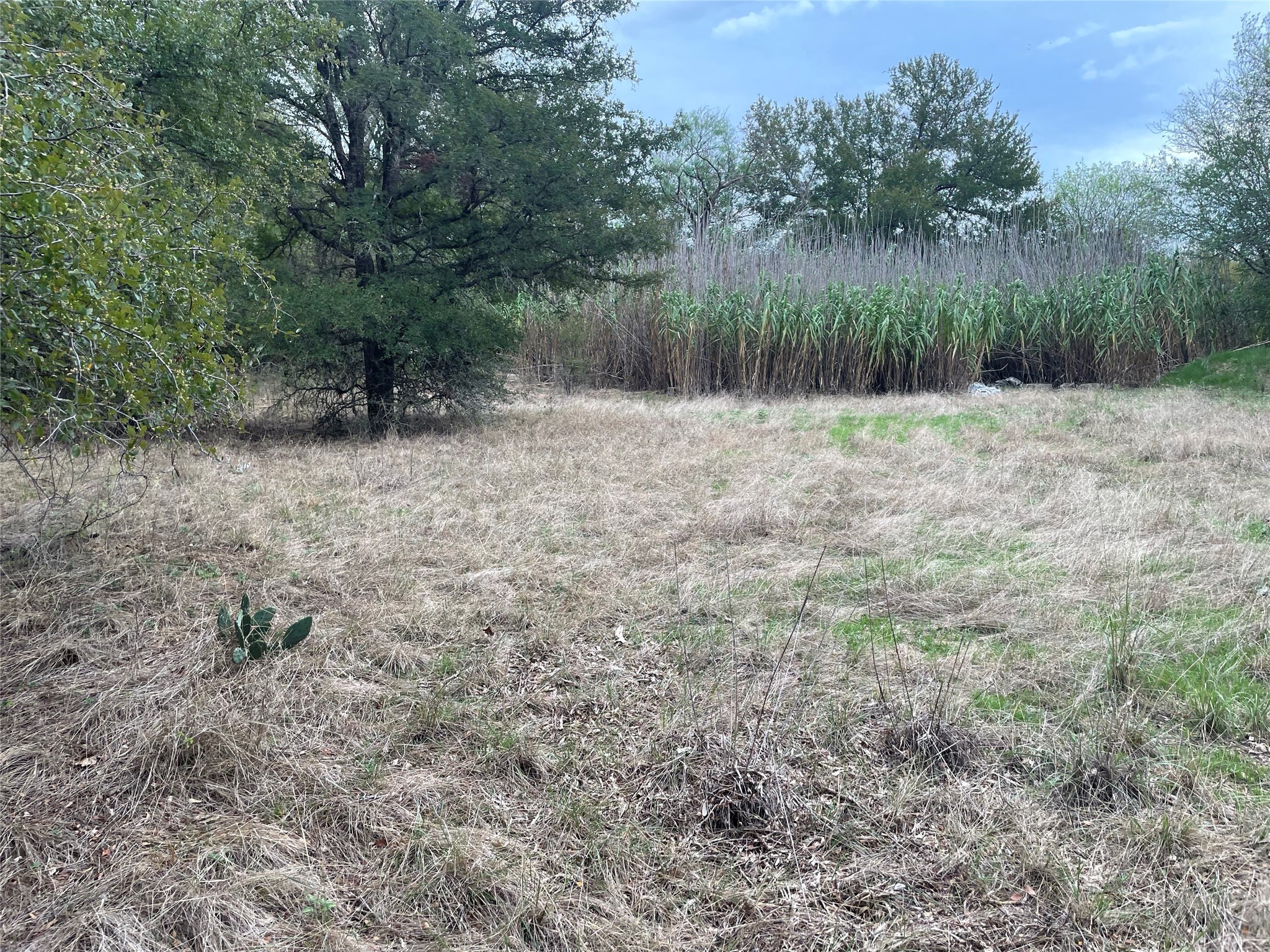Tbd Beardn Lane Mingus TX 76453