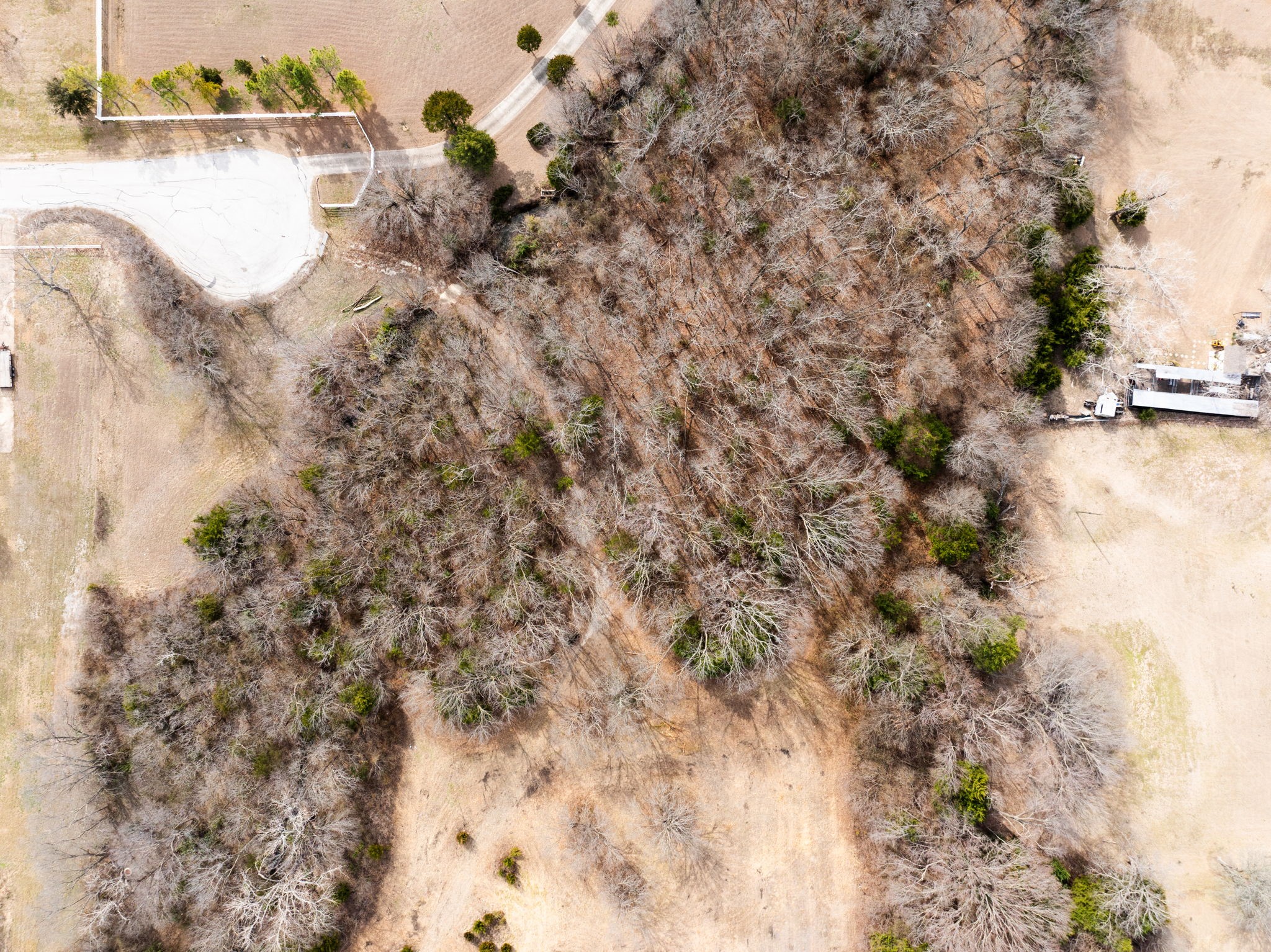 1407 Ponderosa Trail Sachse TX 75048
