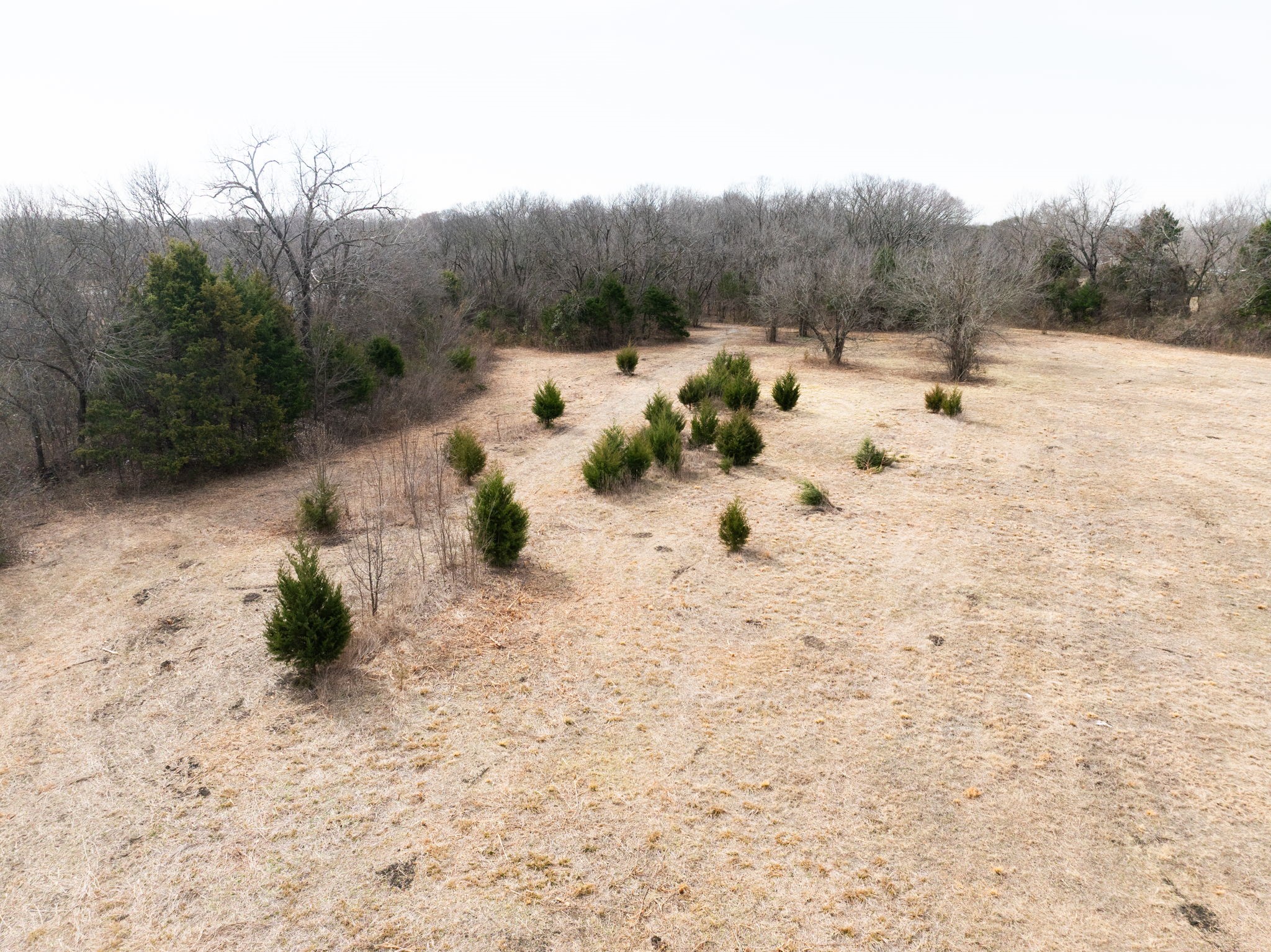 1407 Ponderosa Trail Sachse TX 75048