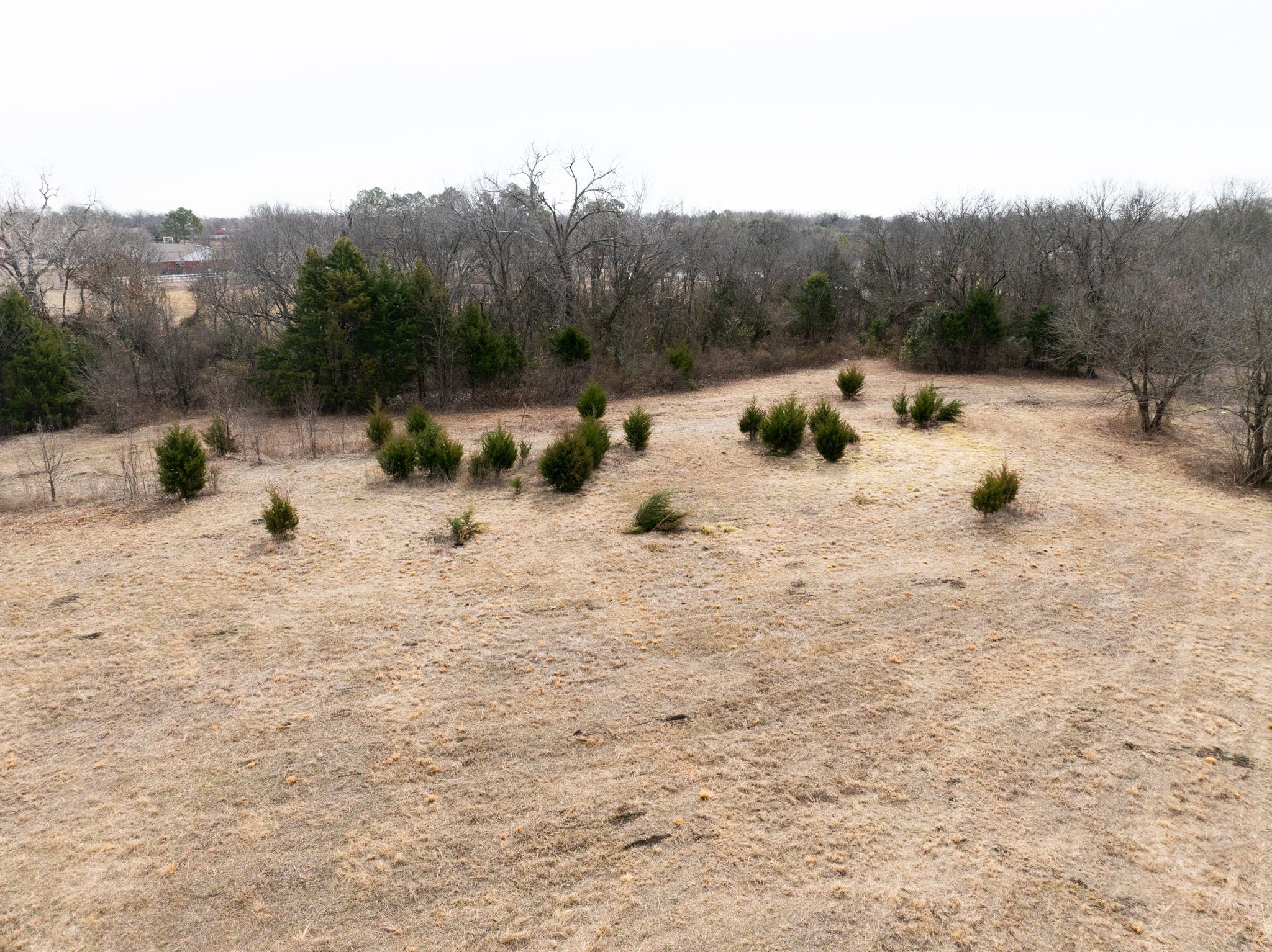 1407 Ponderosa Trail Sachse TX 75048