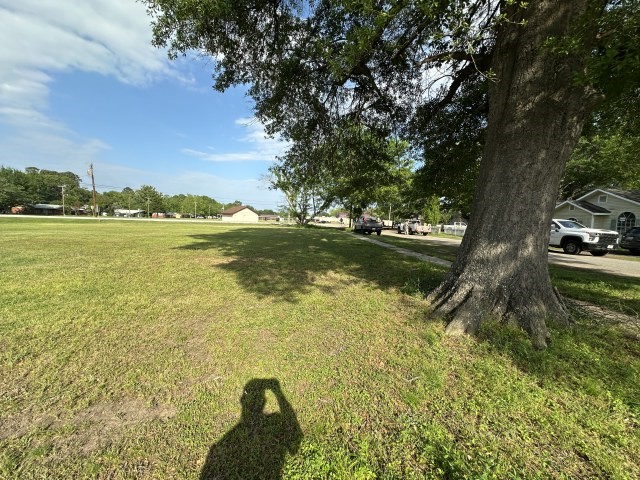 903 N Alley Street Jefferson TX 75657