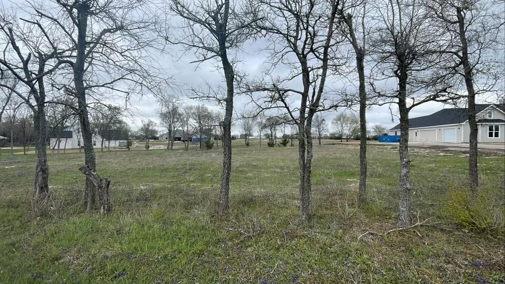 Tbd Wortham Road Whitewright TX 75491
