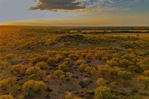 10579 Private Road 3151 Moran TX 76464