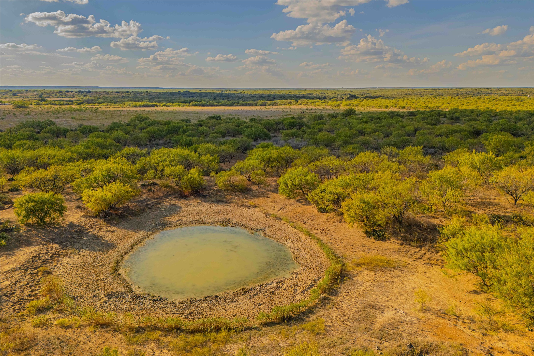 10579 Private Road 3151 Moran TX 76464
