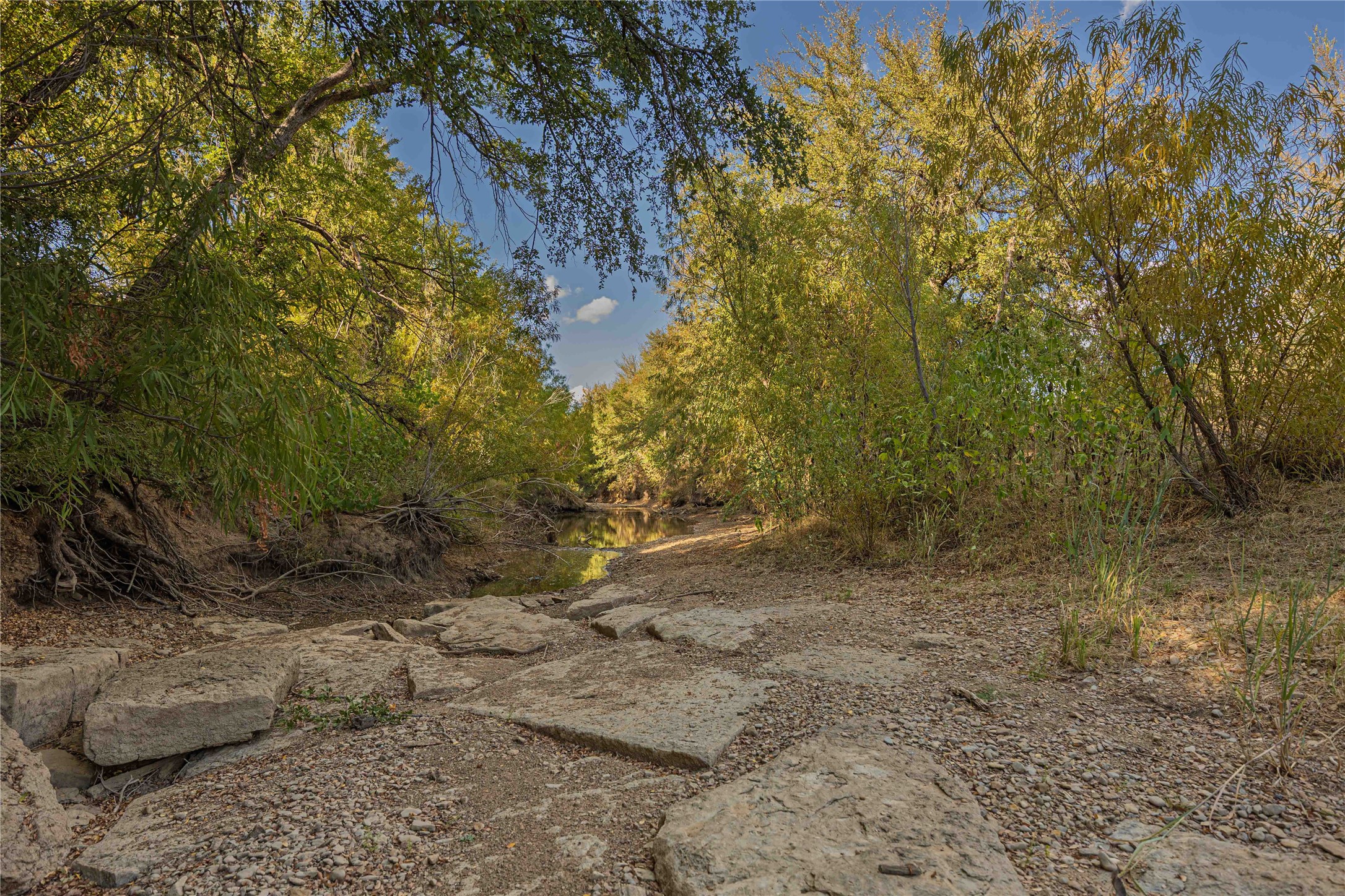 10579 Private Road 3151 Moran TX 76464
