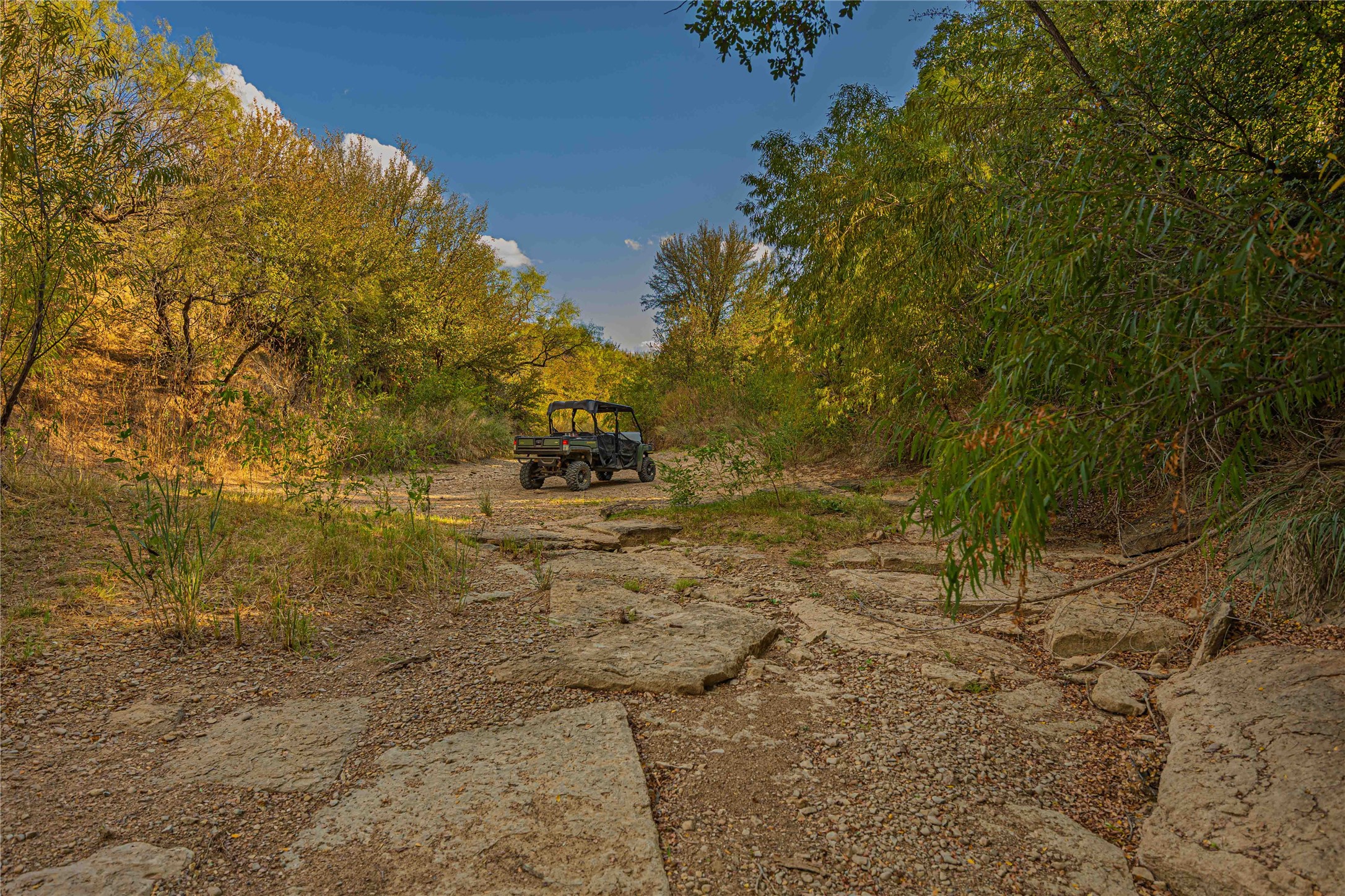 10579 Private Road 3151 Moran TX 76464