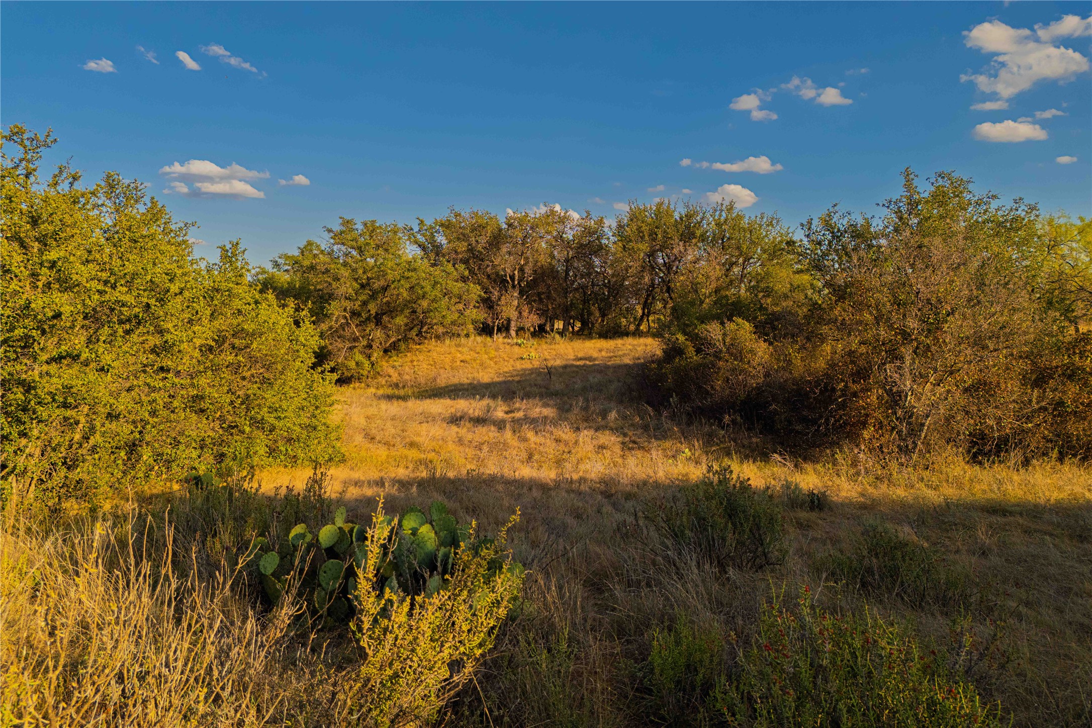 10579 Private Road 3151 Moran TX 76464