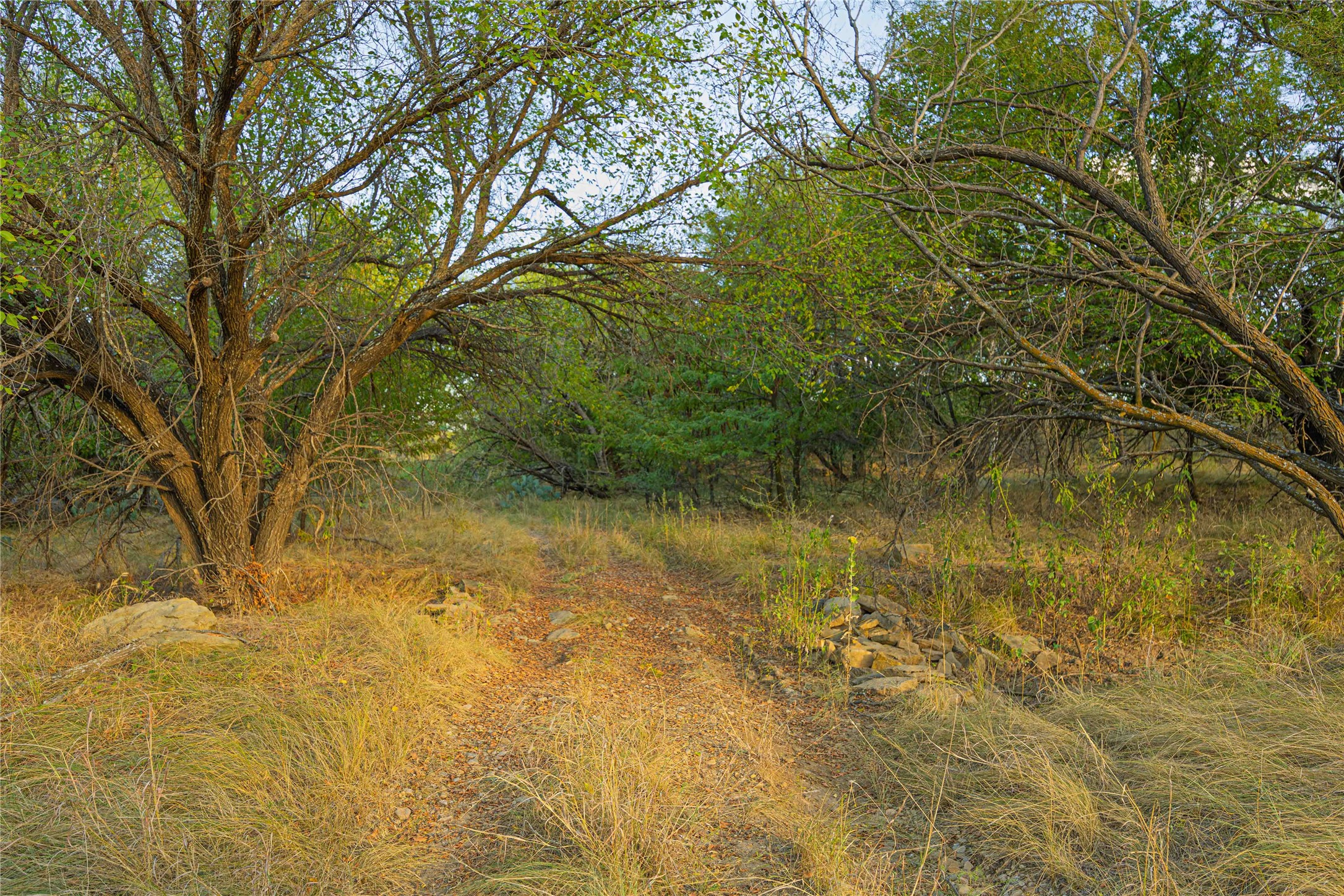 10579 Private Road 3151 Moran TX 76464