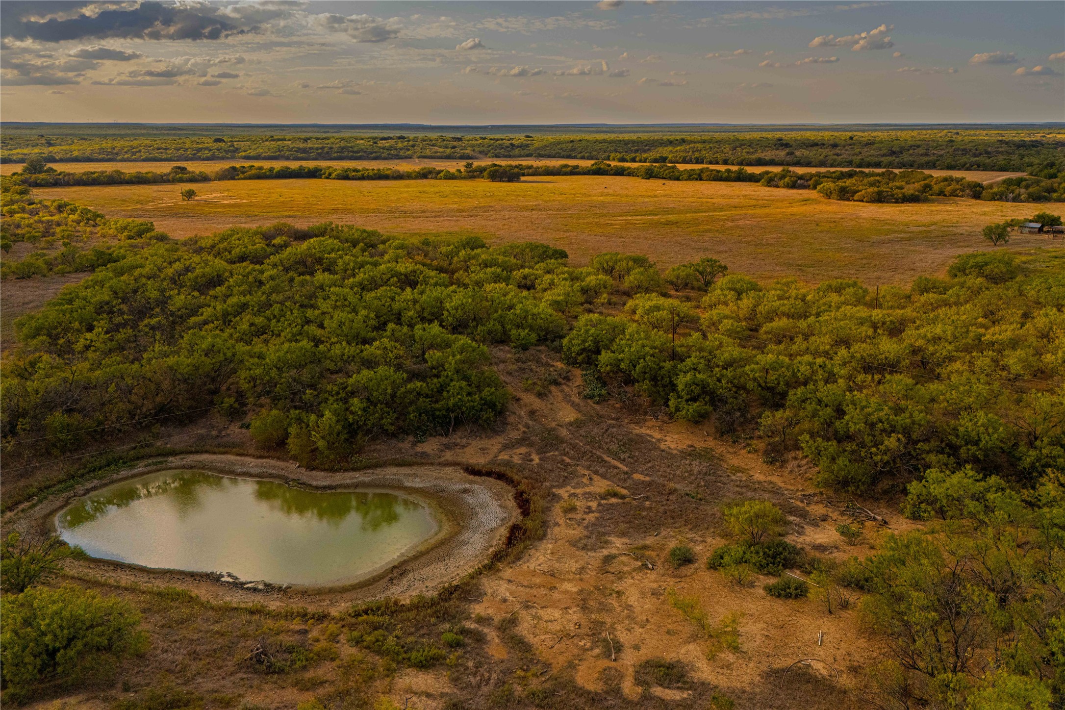 10579 Private Road 3151 Moran TX 76464