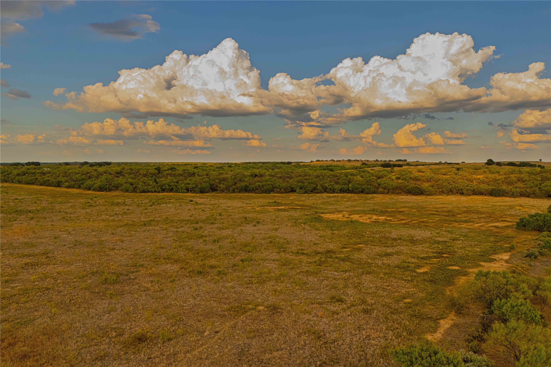 10579 Private Road 3151 Moran TX 76464
