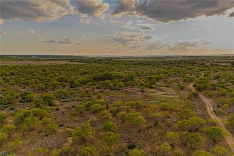 10579 Private Road 3151 Moran TX 76464