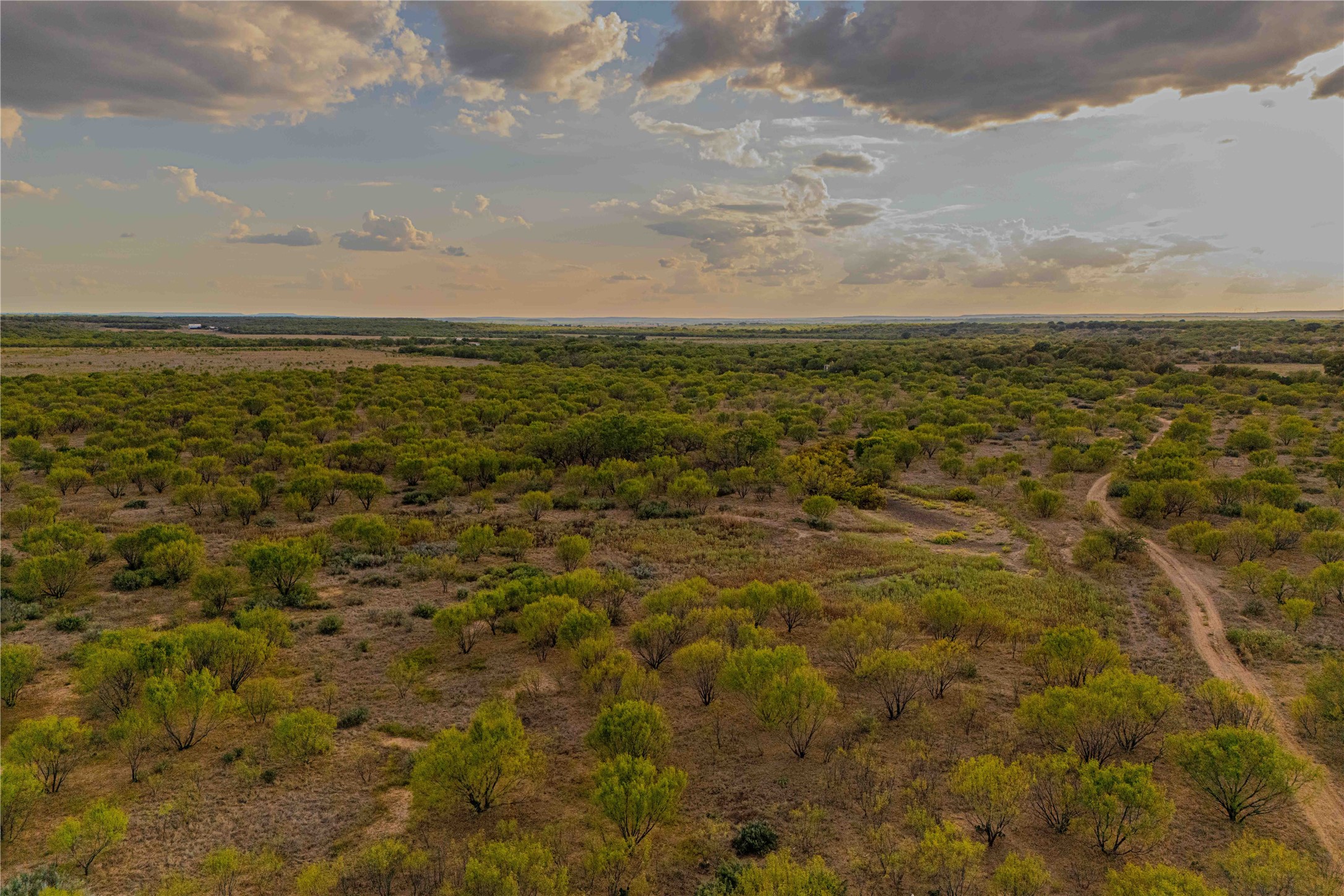 10579 Private Road 3151 Moran TX 76464