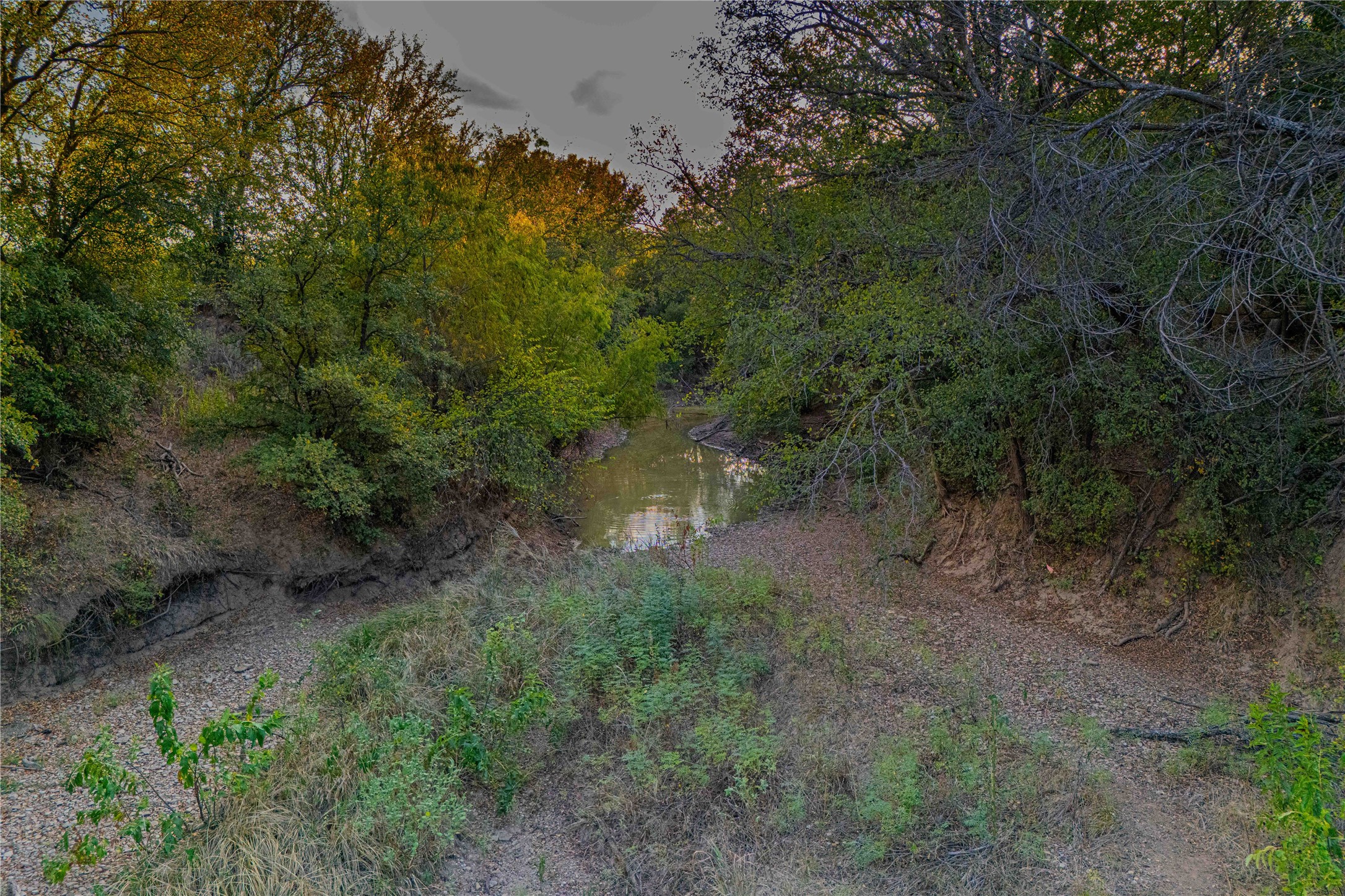 10579 Private Road 3151 Moran TX 76464