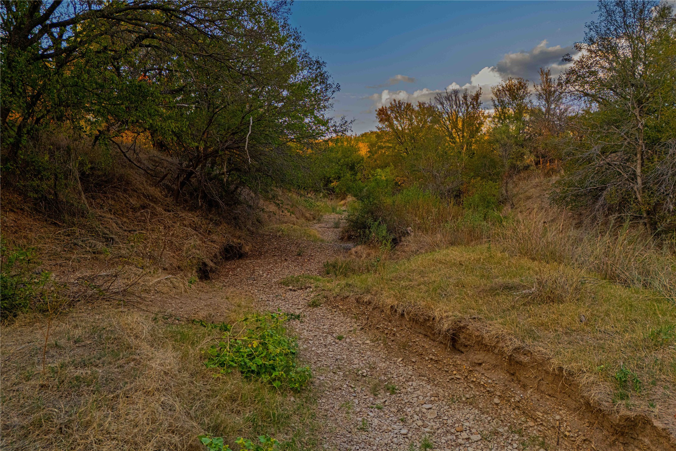 10579 Private Road 3151 Moran TX 76464