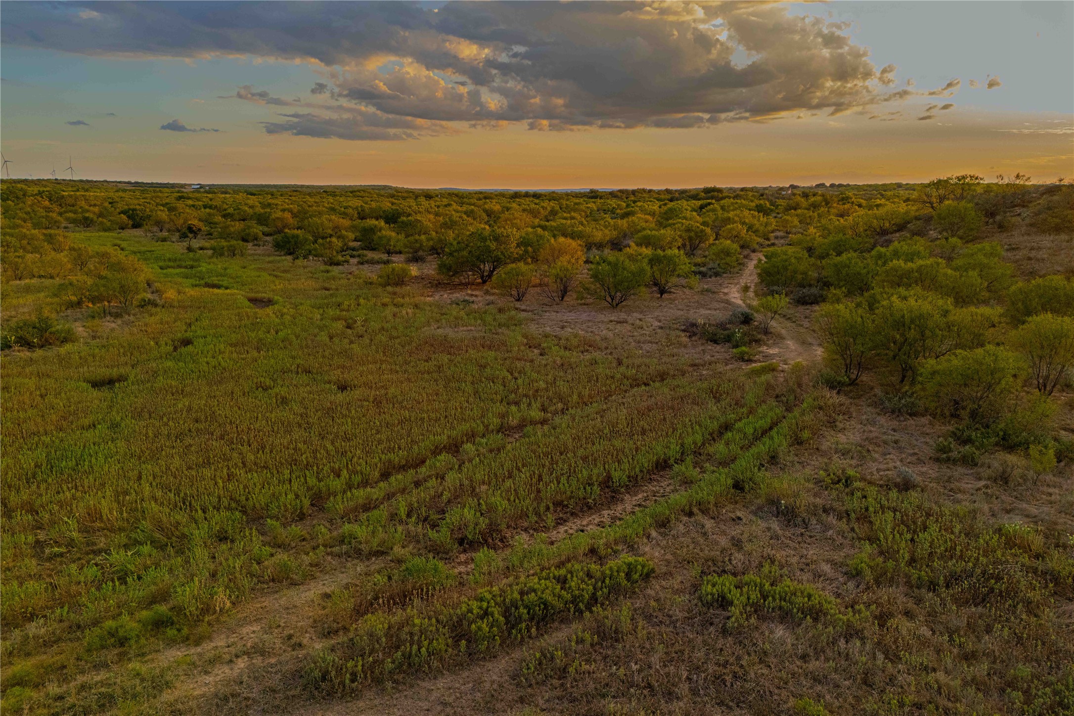 10579 Private Road 3151 Moran TX 76464