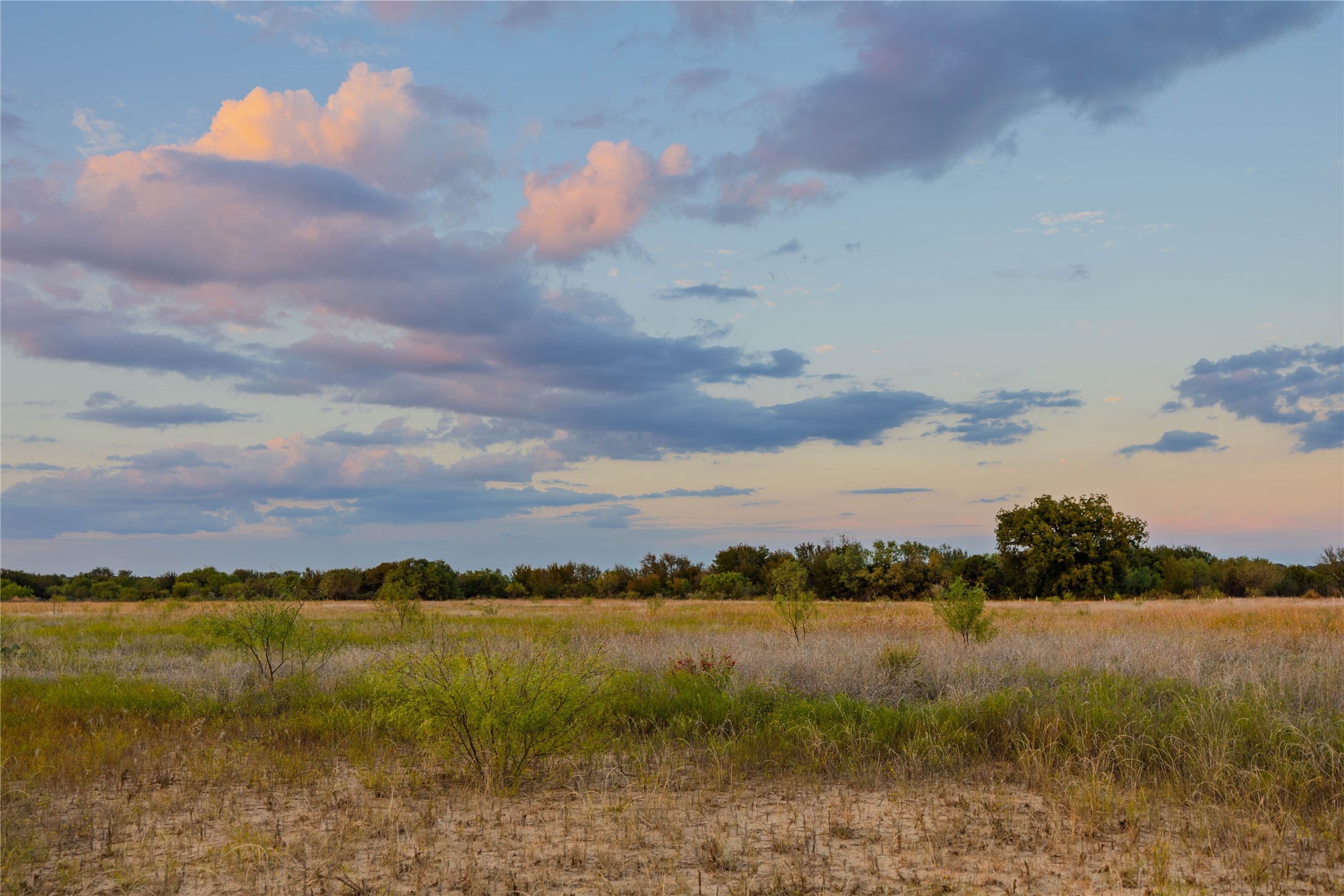 10579 Private Road 3151 Moran TX 76464