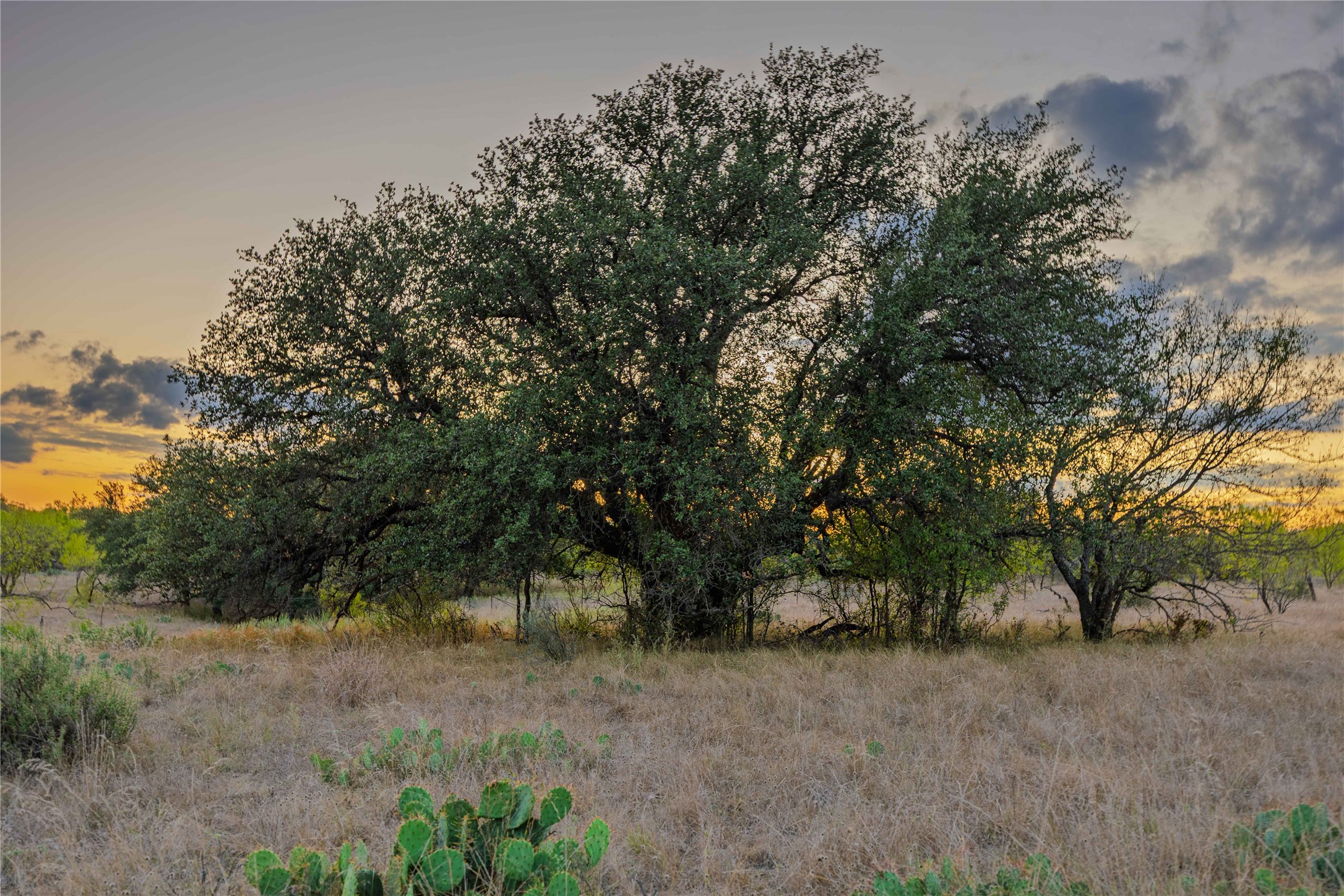 10579 Private Road 3151 Moran TX 76464
