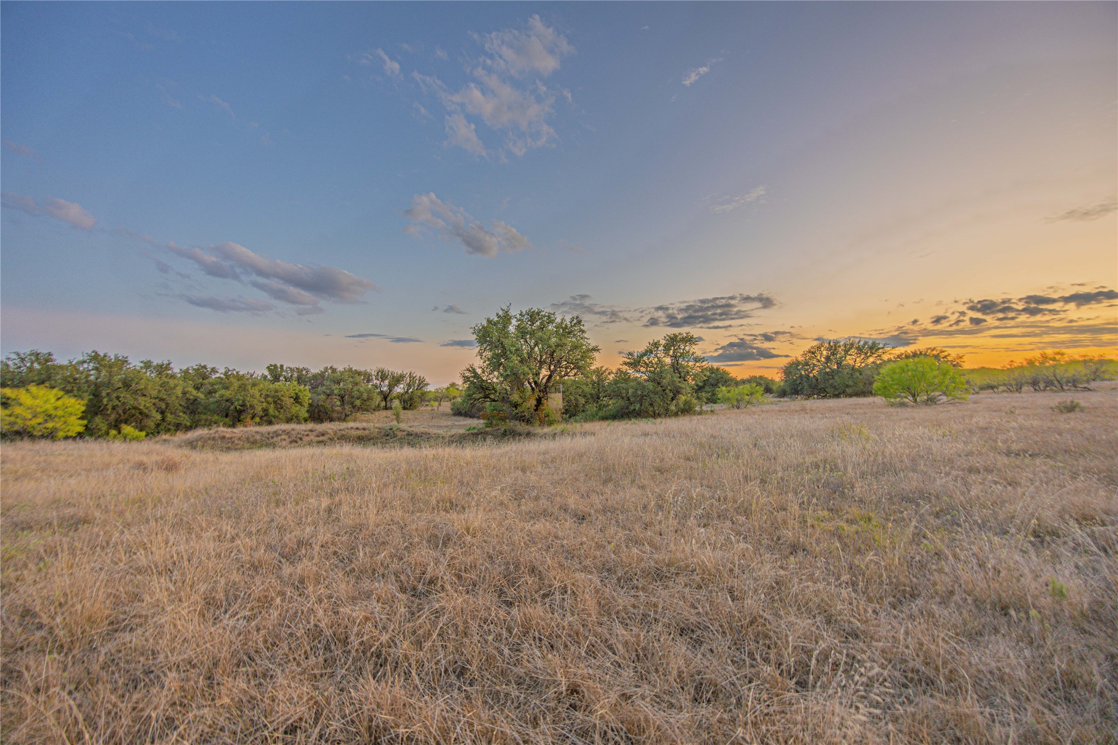 10579 Private Road 3151 Moran TX 76464