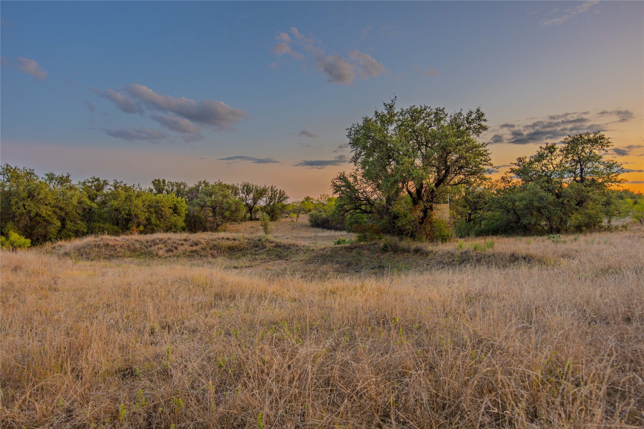 10579 Private Road 3151 Moran TX 76464