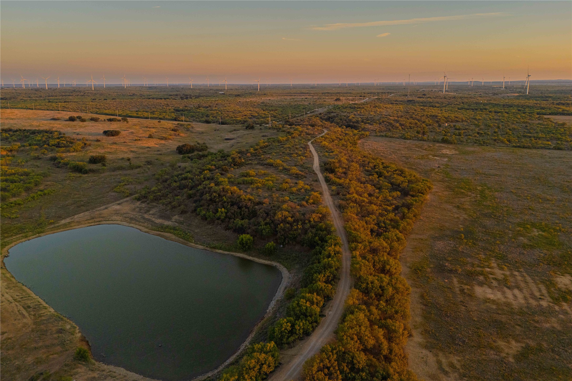 10579 Private Road 3151 Moran TX 76464