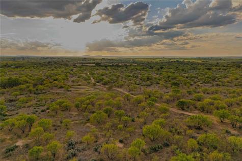 10579 Private Road 3151 Moran TX 76464
