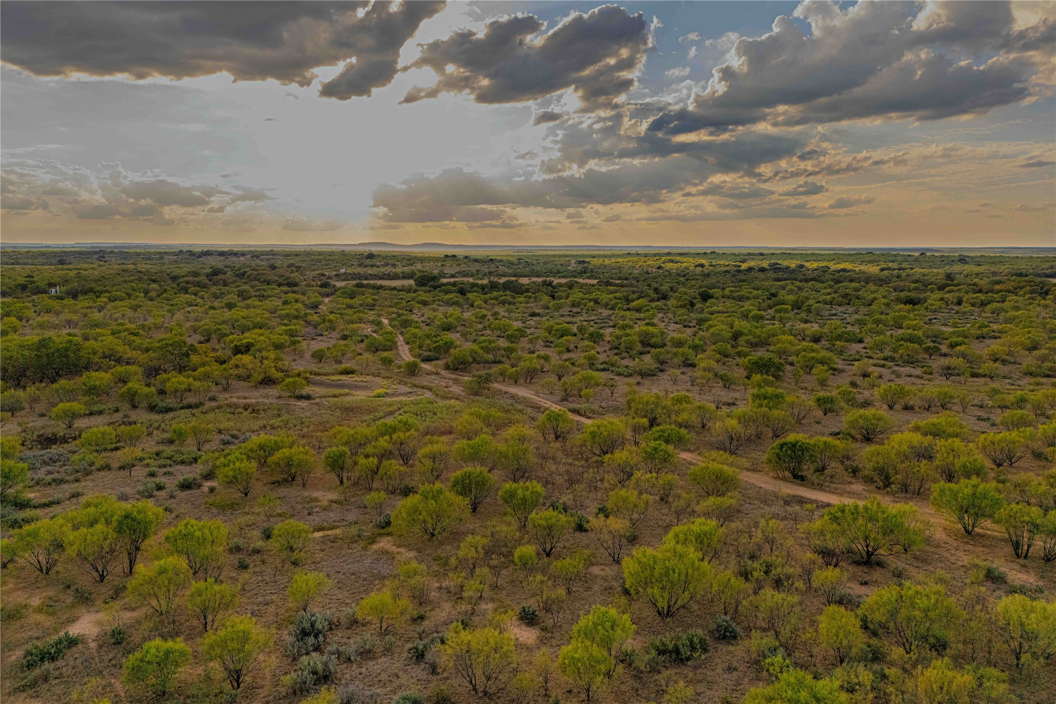 10579 Private Road 3151 Moran TX 76464