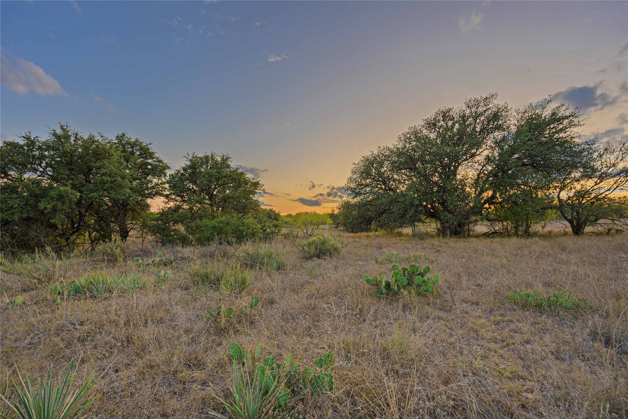 10579 Private Road 3151 Moran TX 76464