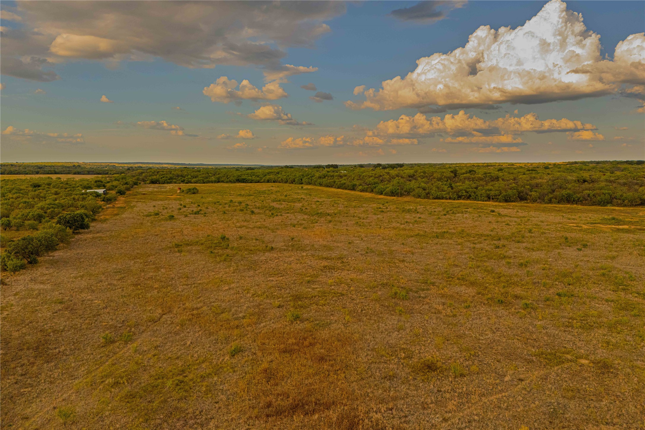 10579 Private Road 3151 Moran TX 76464