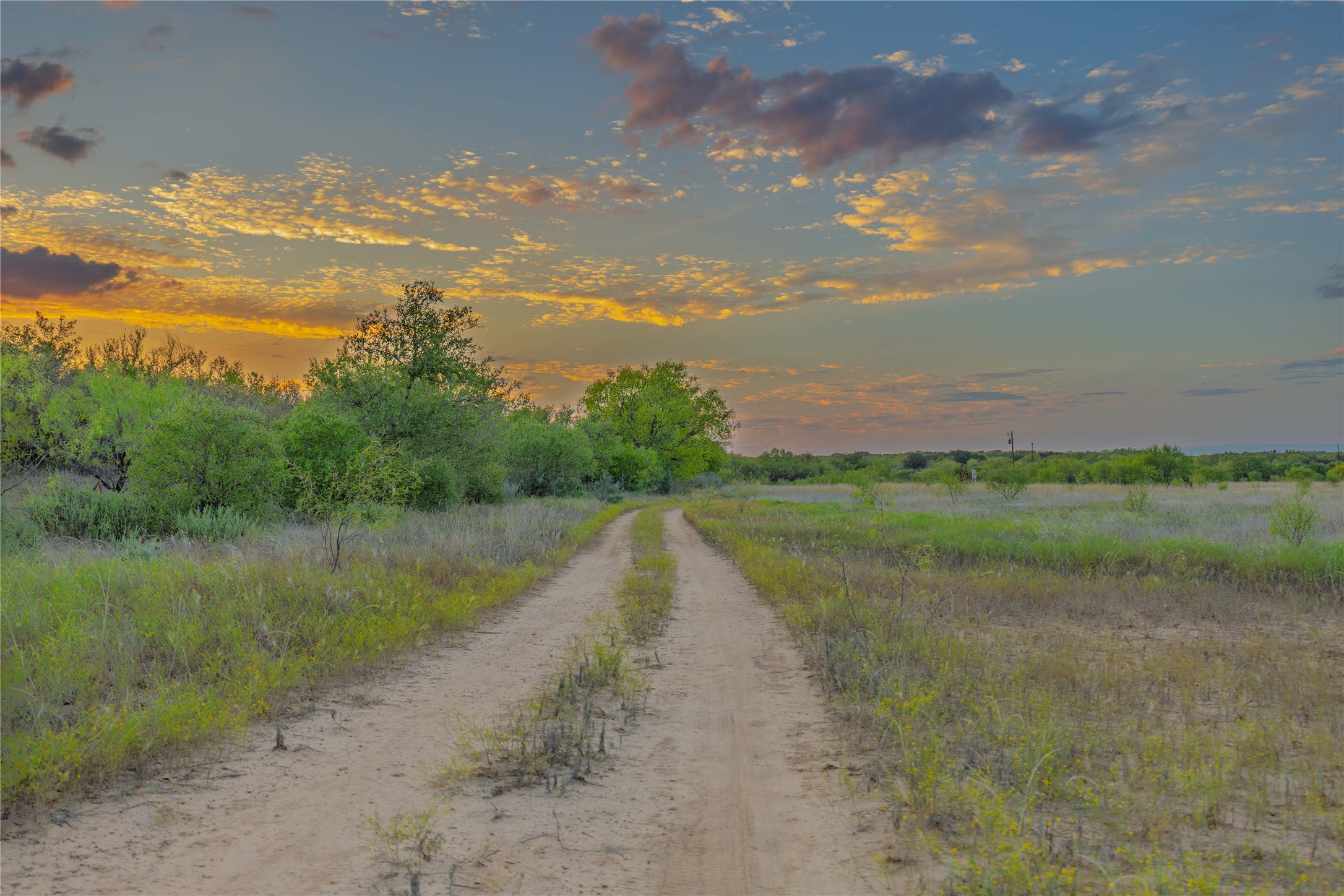 10579 Private Road 3151 Moran TX 76464