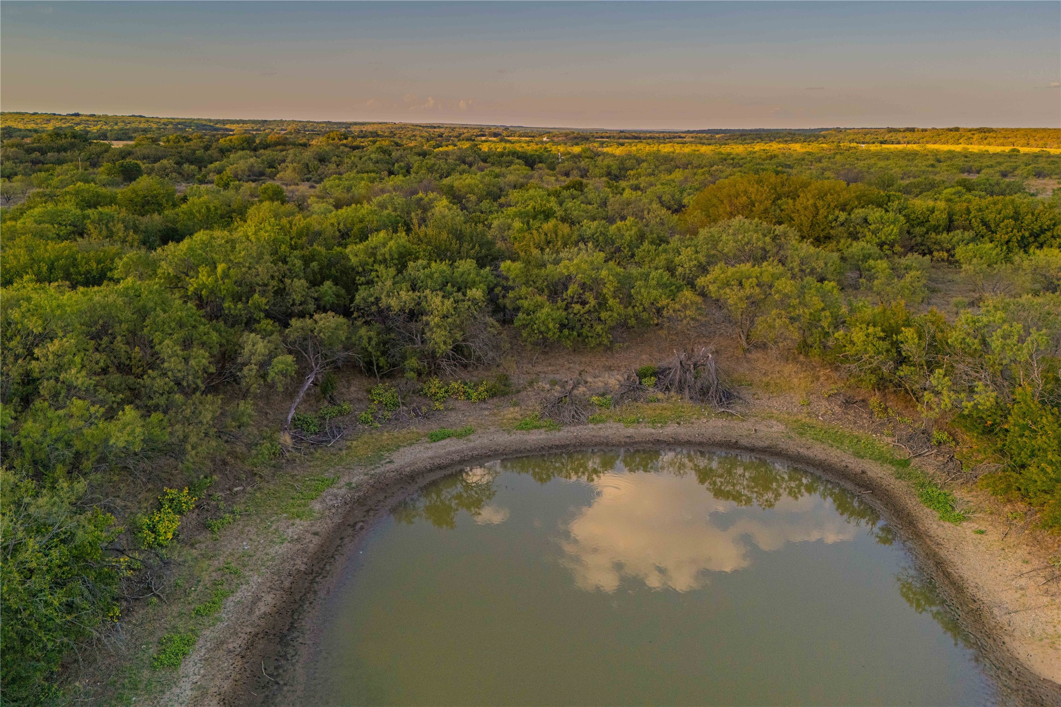 10579 Private Road 3151 Moran TX 76464